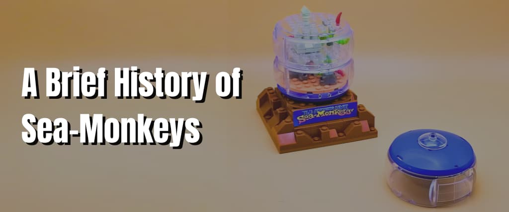 A Brief History of Sea-Monkeys