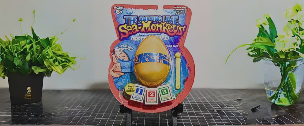 A Brief History of Sea-Monkeys