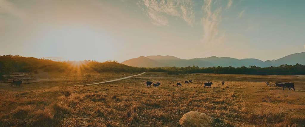 ATHERTON TABLELANDS