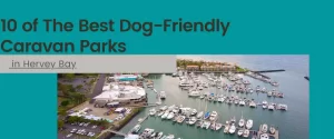 10 of The Best Dog-Friendly Caravan Parks in Hervey Bay