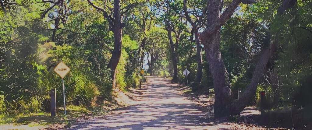 Introducing The Honeymoon Bay Campground!