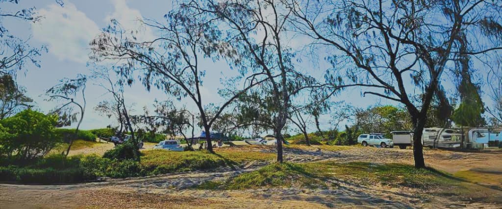 Your complete Inskip Point Camping Guide for 2024