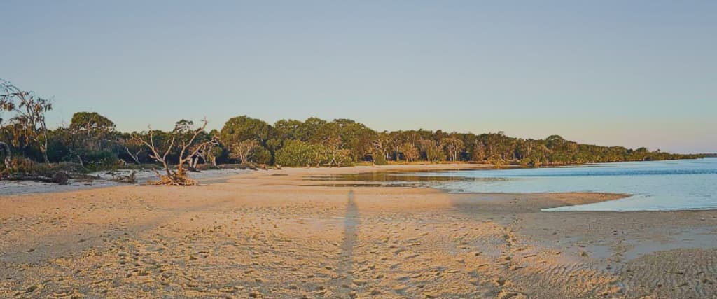 Your complete Inskip Point Camping Guide for 2024