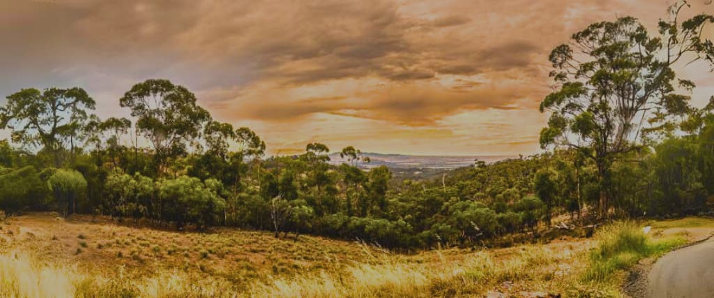 10 Things to See And Do At Mount Remarkable National Park