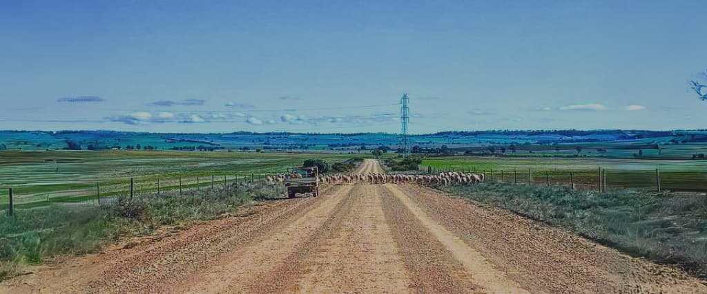 10 Things to See And Do At Mount Remarkable National Park