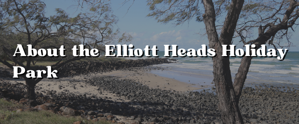 About the Elliott Heads Holiday Park