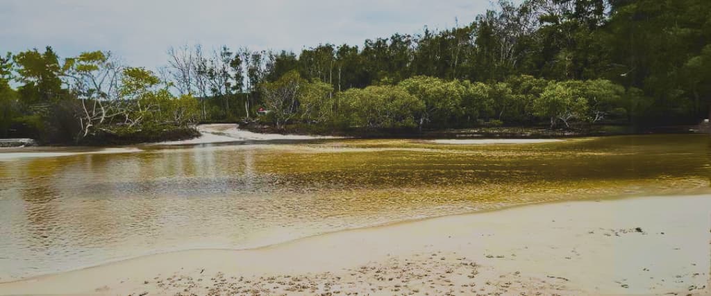 An overview of all the Queensland Parks & Wildlife Service camping zones on K’gari (formerly Fraser Island)