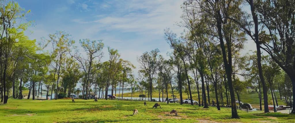 10 Fantastic Bush, Beach and Lake Campgrounds within a 2 Hour’s Drive of Brisbane