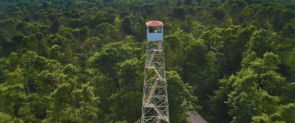 How to Buy a Fire Lookout Tower