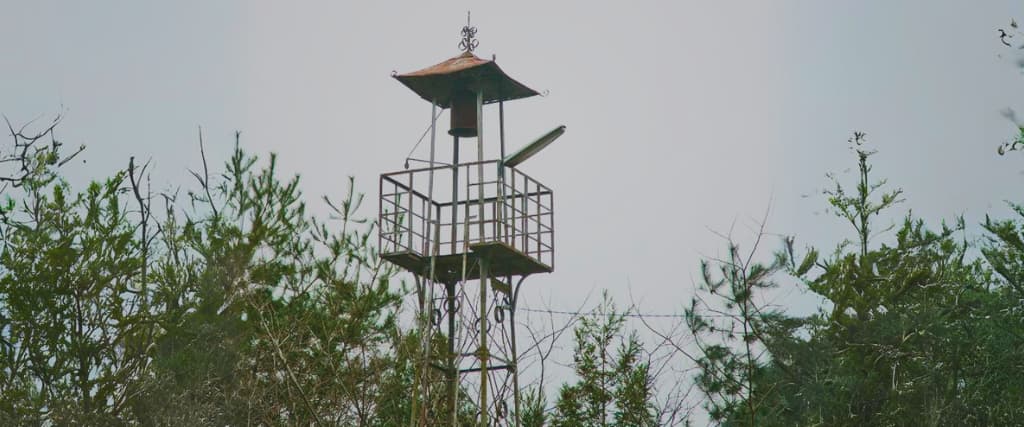 How to Buy a Fire Lookout Tower