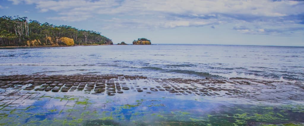 It Took Millions of Years for the Earth to Form This Strange Pavement-Like Rock Formation in Tasmania