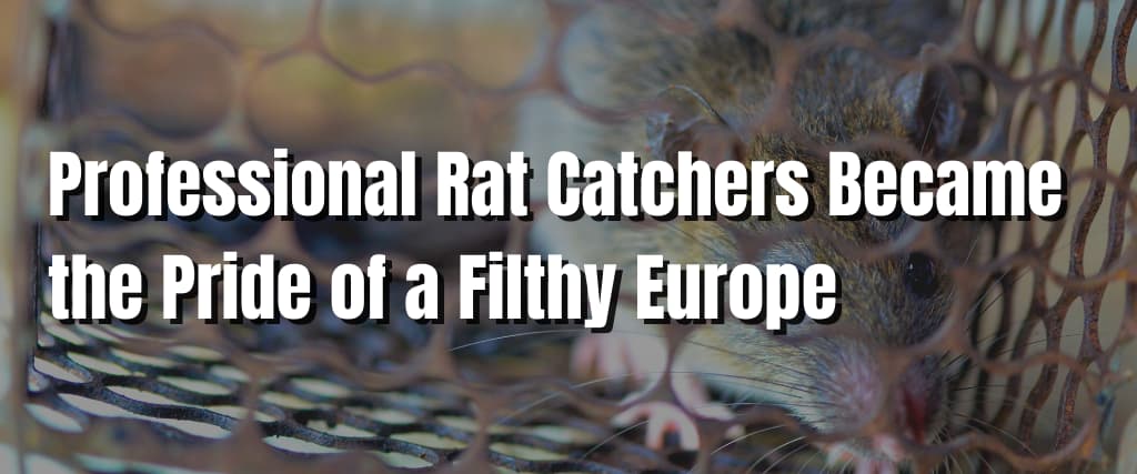 https://www.visiting.com.au/wp-content/uploads/2022/07/Professional-Rat-Catchers-Became-the-Pride-of-a-Filthy-Europe.jpg