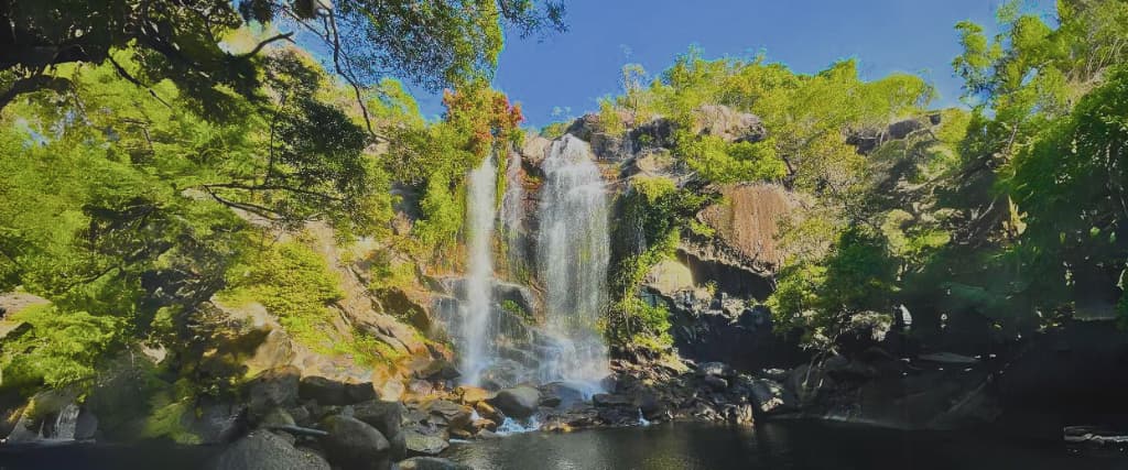 A review of the Cooktown Orchid Travellers Park in Far North Queensland