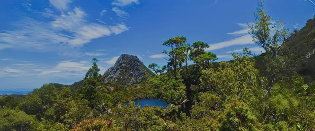 Classic Trek Western Arthur Range (4 Days, 34km).