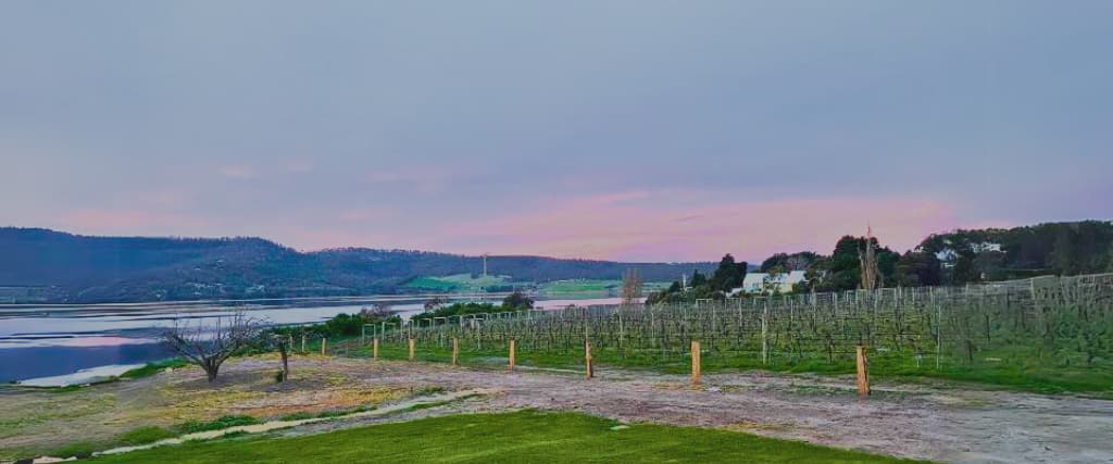 11 of the best wineries and vineyards in Hobart