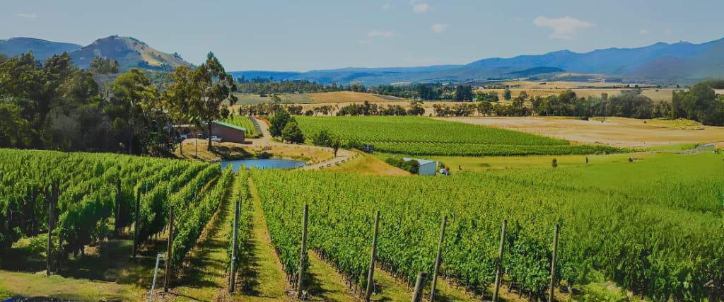 11 of the best wineries and vineyards in Hobart