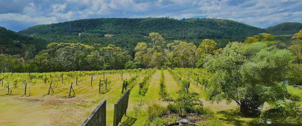 11 of the best wineries and vineyards in Hobart