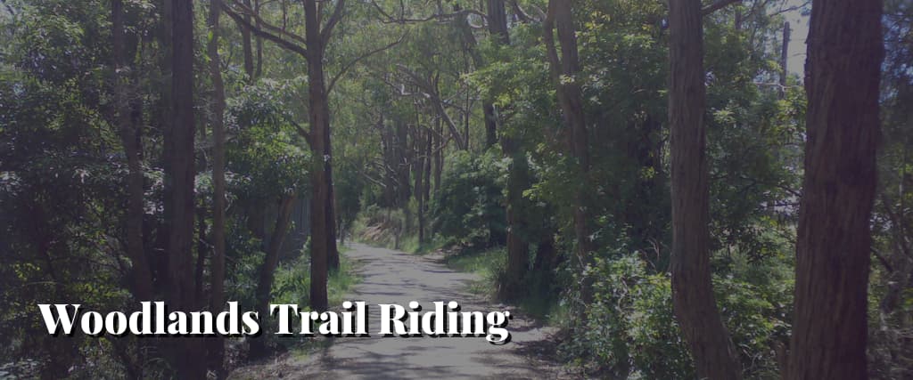 Woodlands-Trail-Riding