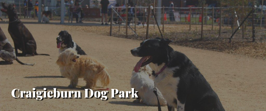 Craigieburn Dog Park