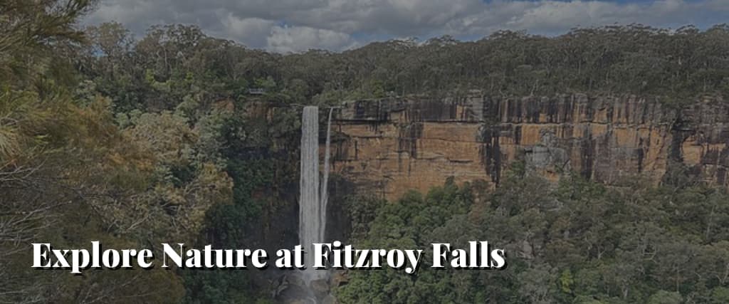 Explore-Nature-at-Fitzroy-Falls (1) (1)