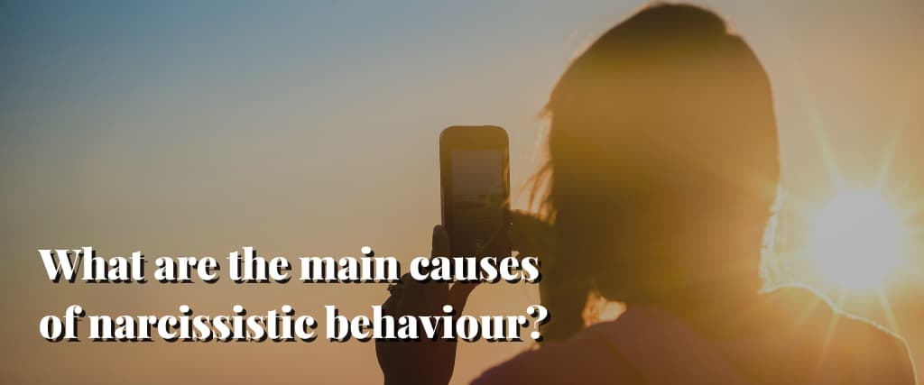 What are the main causes of narcissistic behaviour