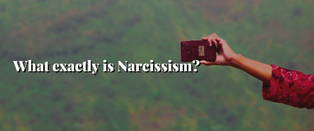 What exactly is Narcissism