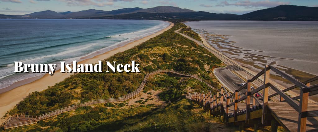 Bruny Island Neck