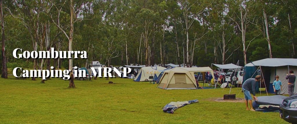 Goomburra Camping in MRNP