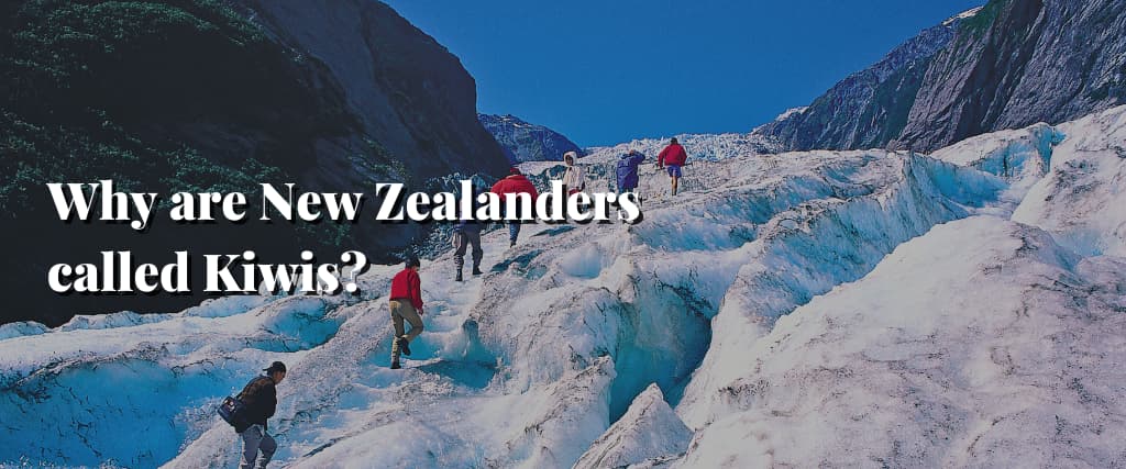 Why are New Zealanders called Kiwis (1)