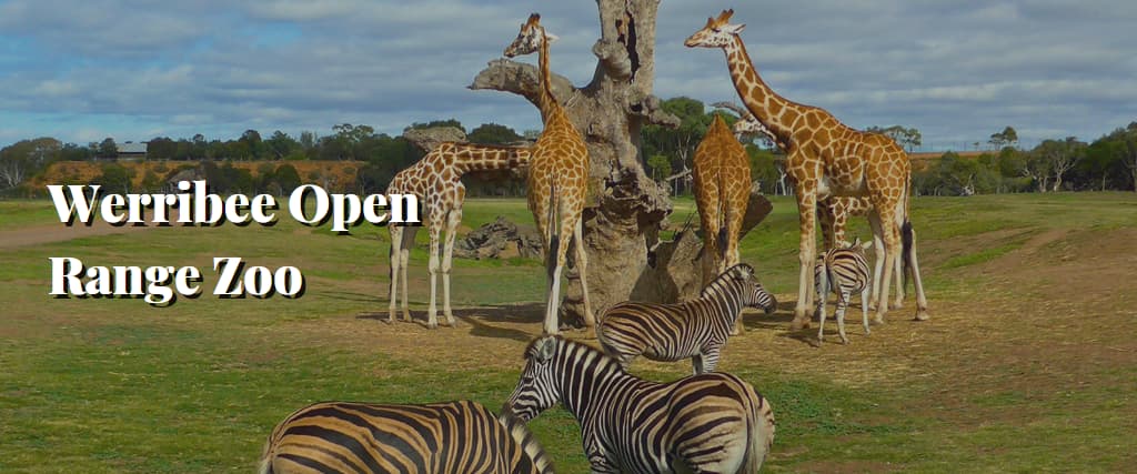 Werribee Open Range Zoo