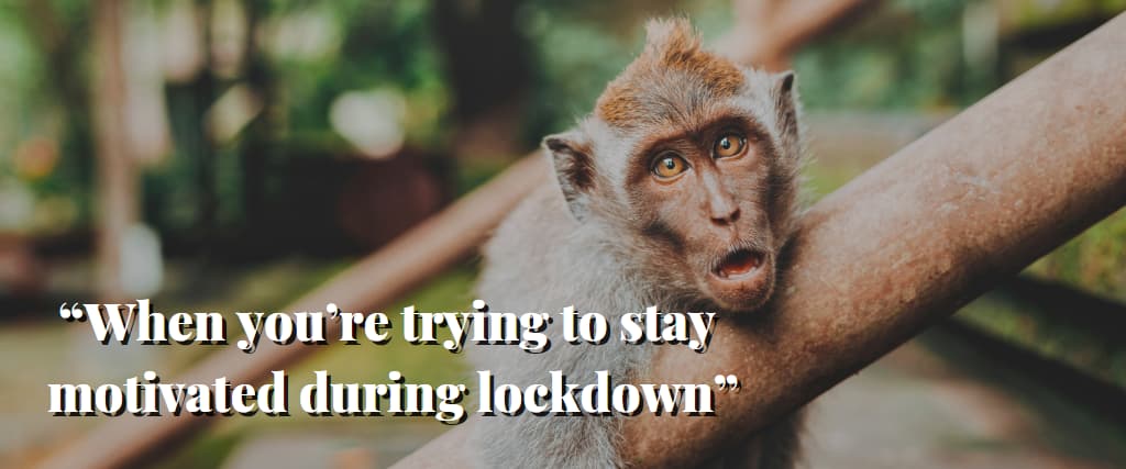 62 of the Best Lockdown Memes in Australia - Visiting Australia