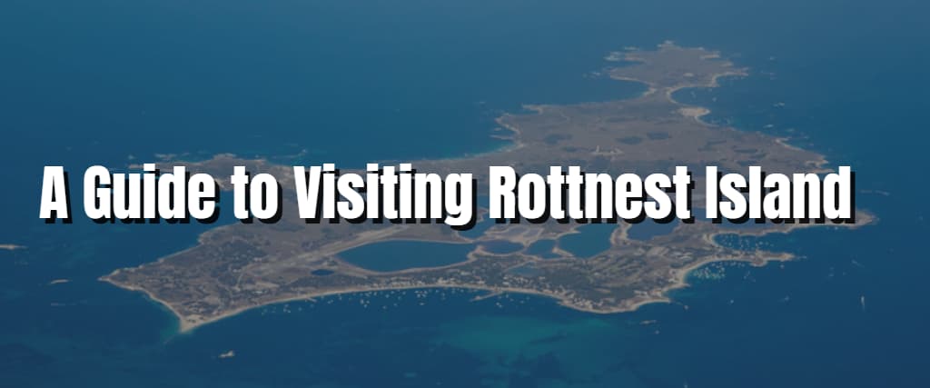 A Guide to Visiting Rottnest Island