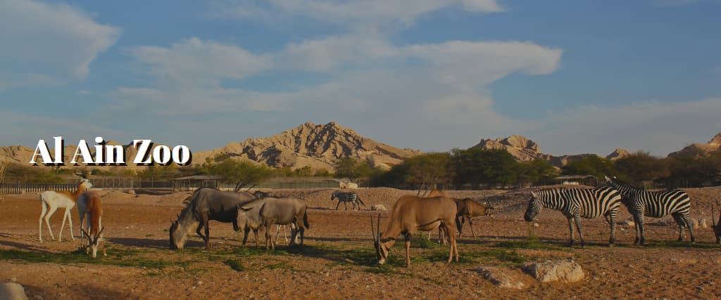 Al Ain Zoo