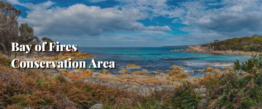 Bay of Fires Conservation Area