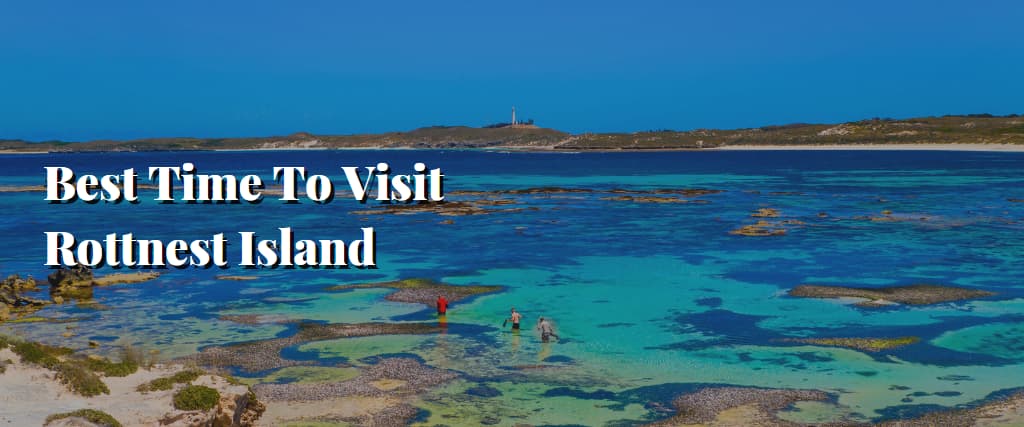 Best Time To Visit Rottnest Island