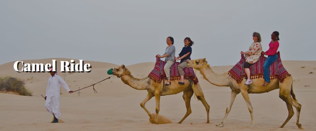 Camel Ride