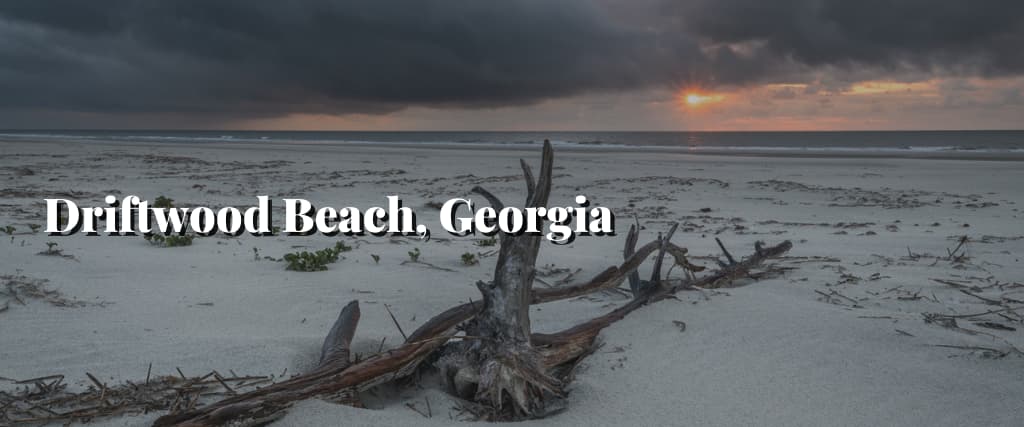 Driftwood Beach, Georgia