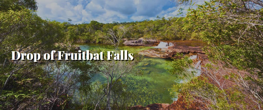 Drop of Fruitbat Falls
