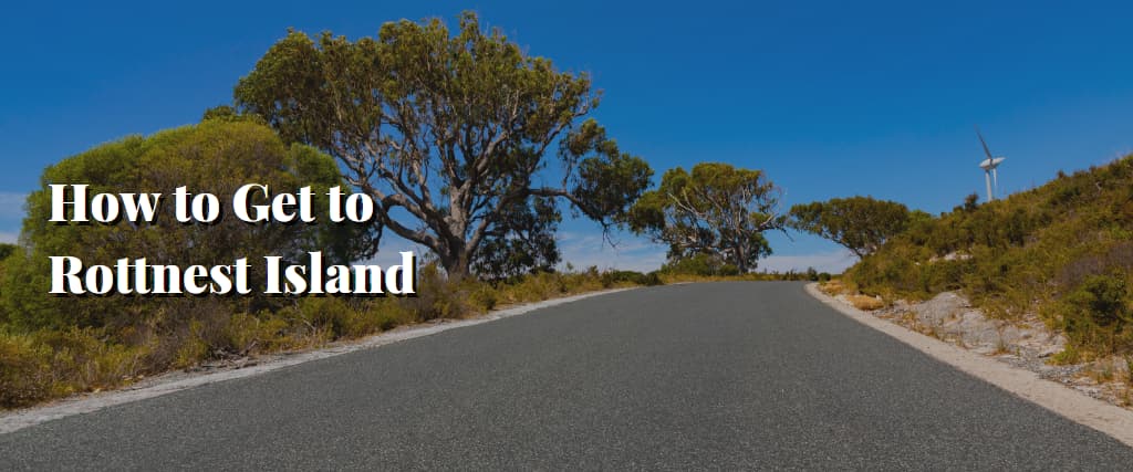 How to Get to Rottnest Island