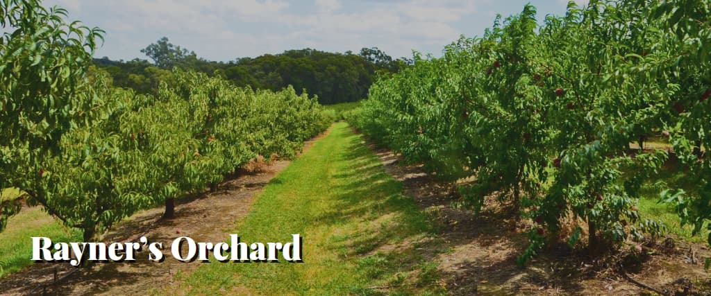 Rayner’s Orchard