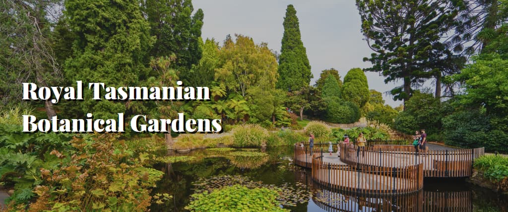 Royal Tasmanian Botanical Gardens