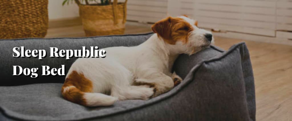 Sleep Republic Dog Bed