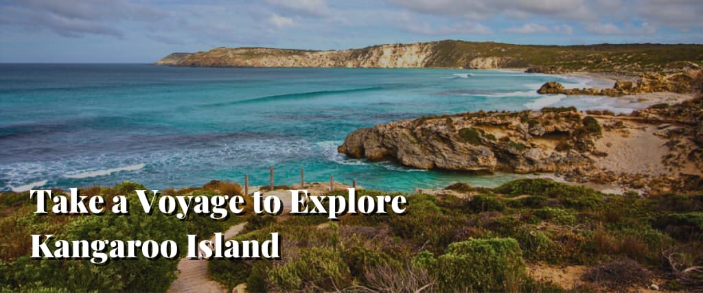 Take a Voyage to Explore Kangaroo Island