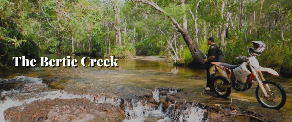 The Bertie Creek