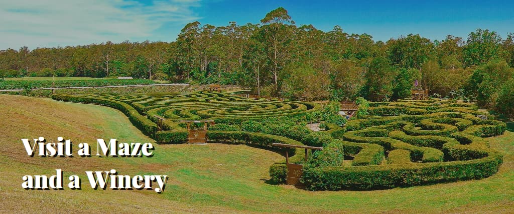 Visit a Maze and a Winery