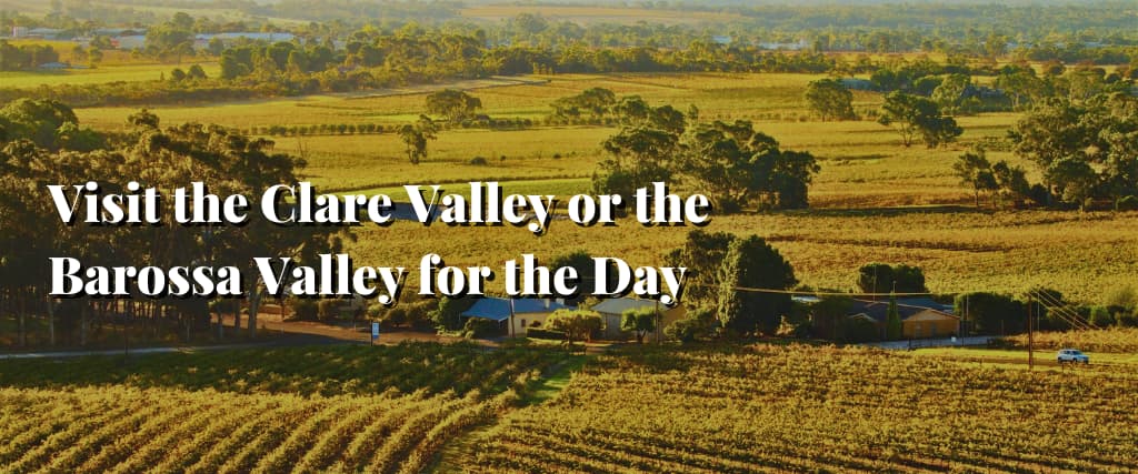 Visit the Clare Valley or the Barossa Valley for the Day