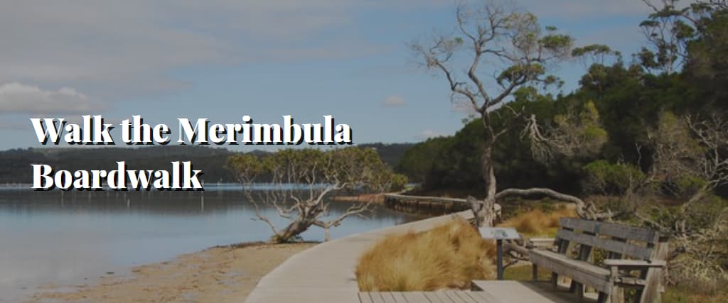 Walk the Merimbula Boardwalk