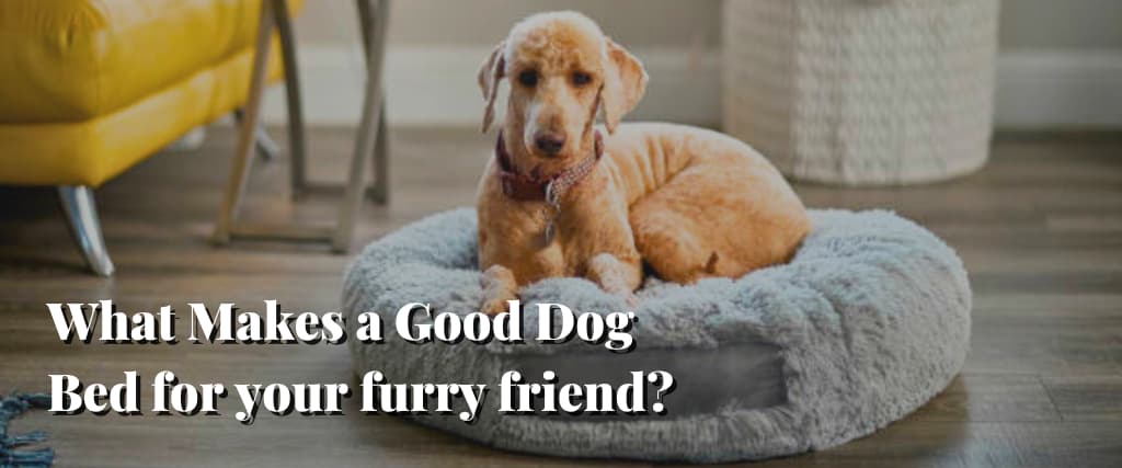 What Makes a Good Dog Bed for your furry friend