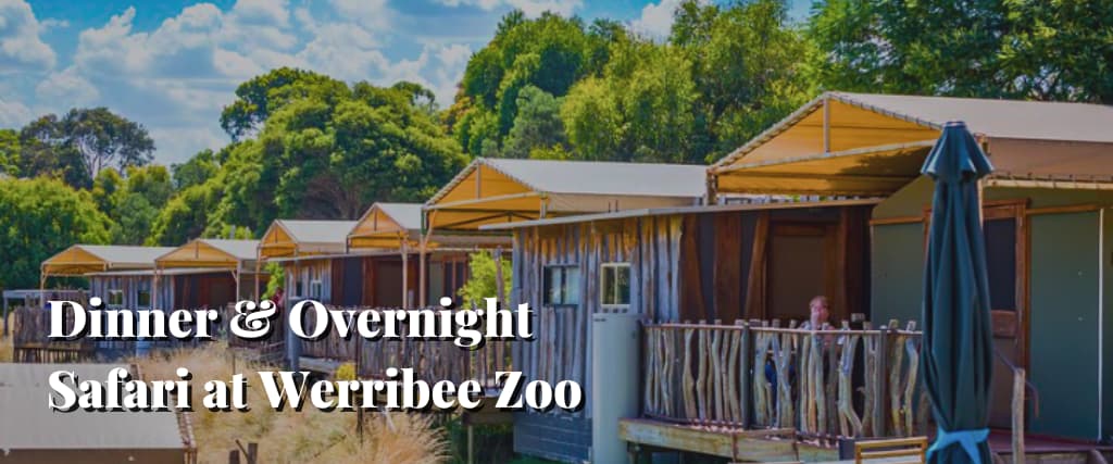 Dinner & Overnight Safari at Werribee Zoo