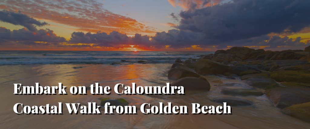 Embark on the Caloundra Coastal Walk from Golden Beach